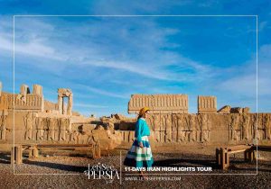 Travelers in Persepolis-11 Days Iran Tour