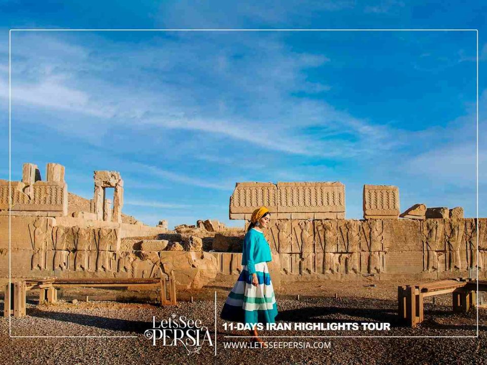 Travelers in Persepolis-11 Days Iran Tour