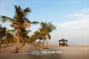 Coconut Beach of Kish-Kish Island Tour