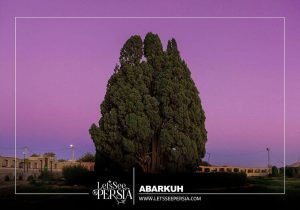 Abarkuh Yazd,Iran-Cypress of Abarkuh at night