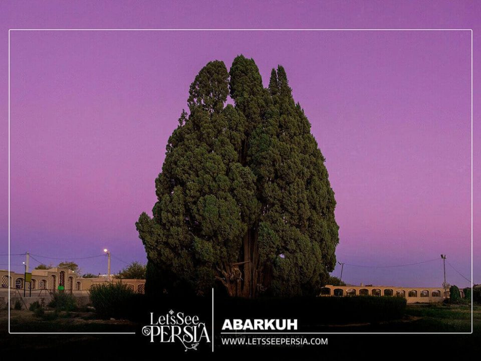 Abarkuh Yazd,Iran-Cypress of Abarkuh at night