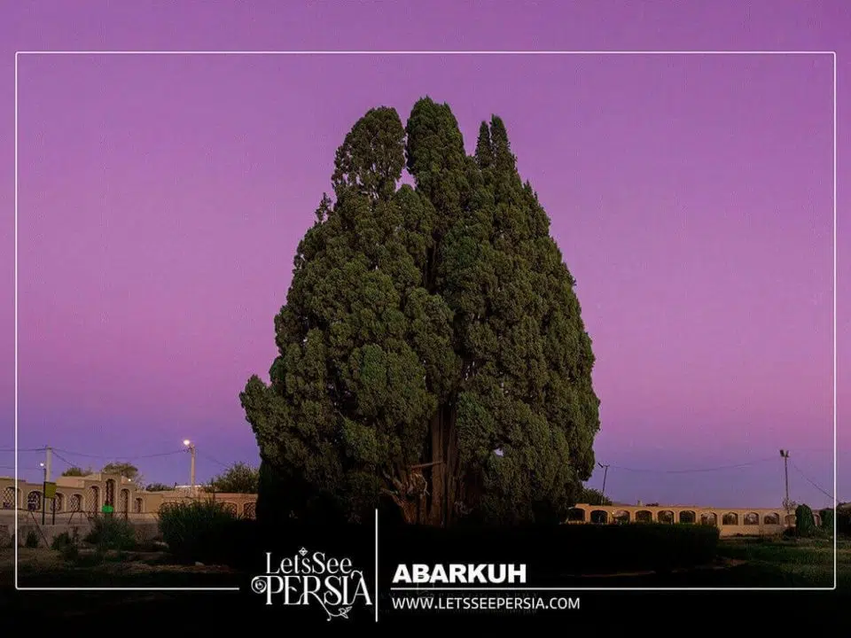 Abarkuh Yazd,Iran-Cypress of Abarkuh at night